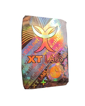 XT Labs – Ligandrol 5mg 60Tabs
